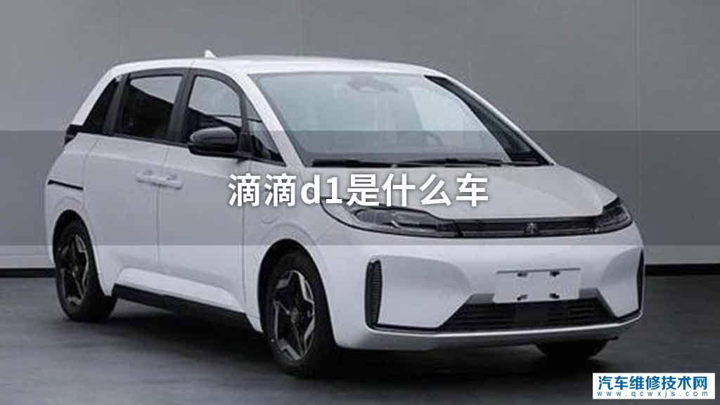 滴滴d1是什么车 滴滴d1是什么车